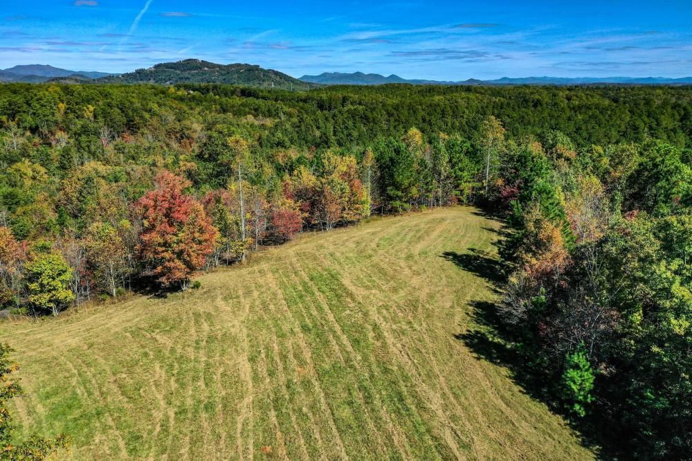 Mill Spring, Polk County, NC Undeveloped Land for sale Property ID