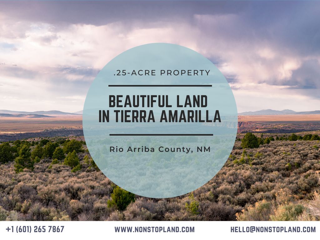 Tierra Amarilla, Rio Arriba County, NM Undeveloped Land, Homesites for