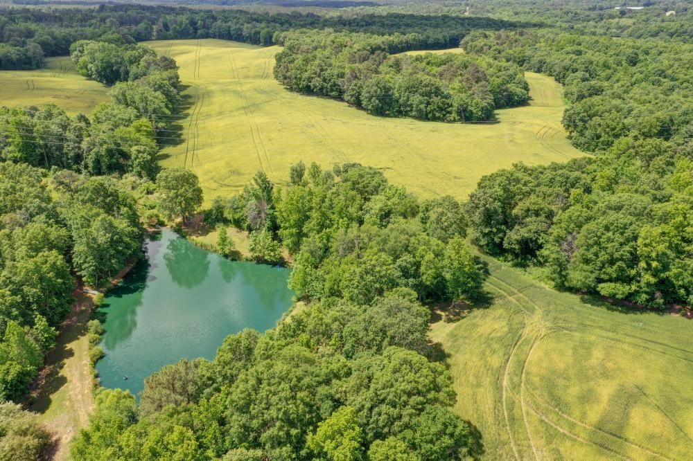 Polkton, Anson County, NC Farms and Ranches, Timberland Property