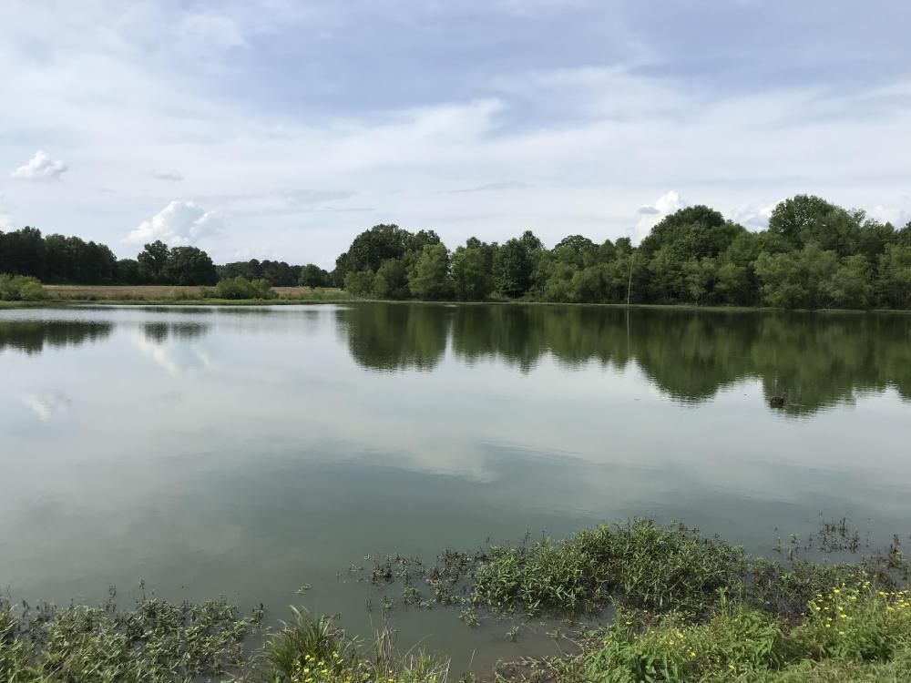 Aliceville, Pickens County, AL Farms and Ranches, Recreational Property, Hunting Property, House