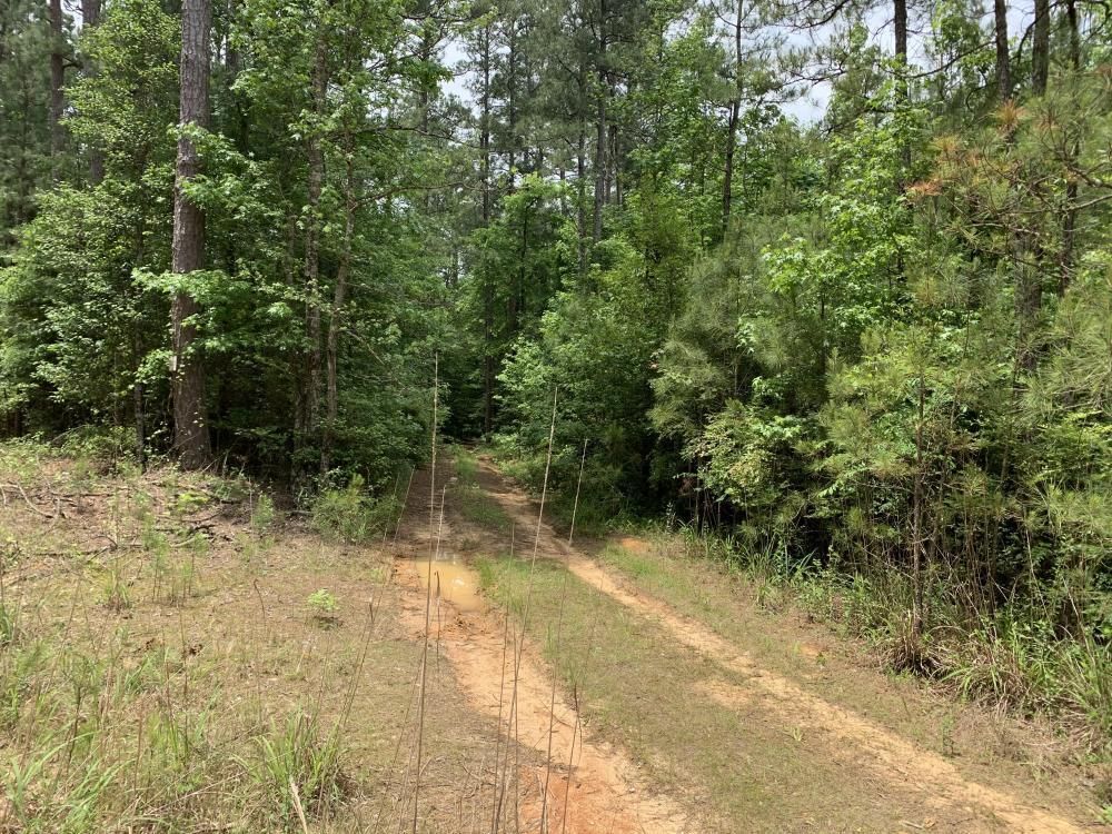 Marion, Union Parish, LA Recreational Property, Timberland Property