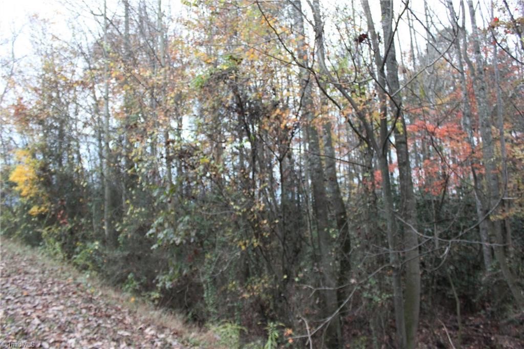 Traphill, Wilkes County, NC Undeveloped Land, Homesites for sale