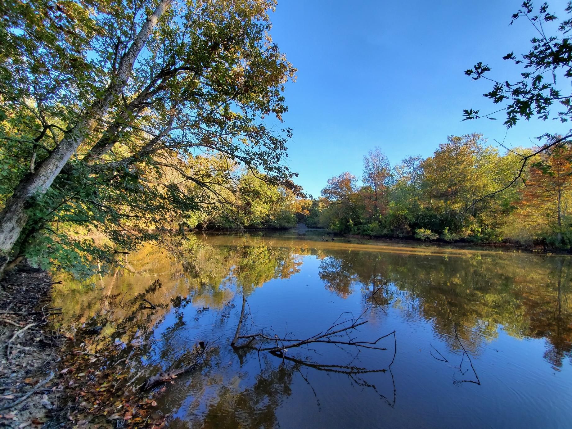 264 acres in Bells, TN, 38006 LandWatch