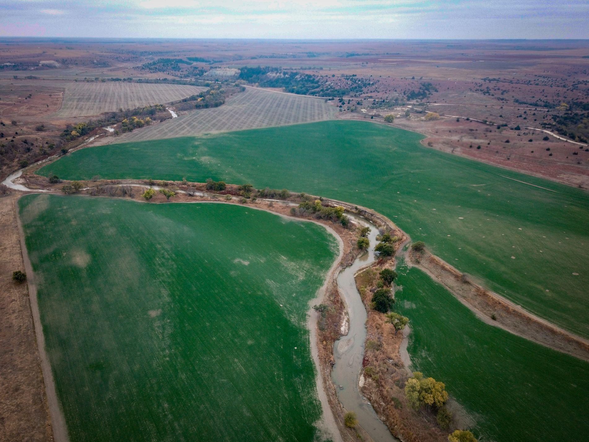 Russell, Russell County, KS Farms and Ranches, Hunting Property for