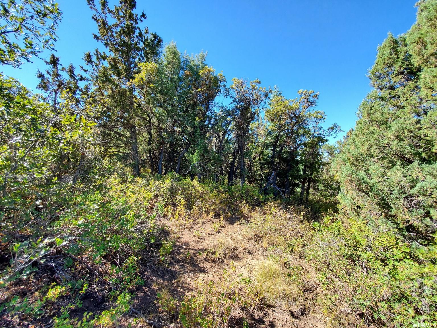 Mount Pleasant, Sanpete County, UT Recreational Property, Horse