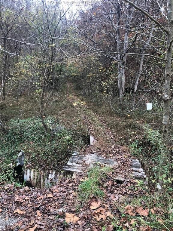 Alum Creek, Lincoln County, WV Undeveloped Land, Lakefront Property