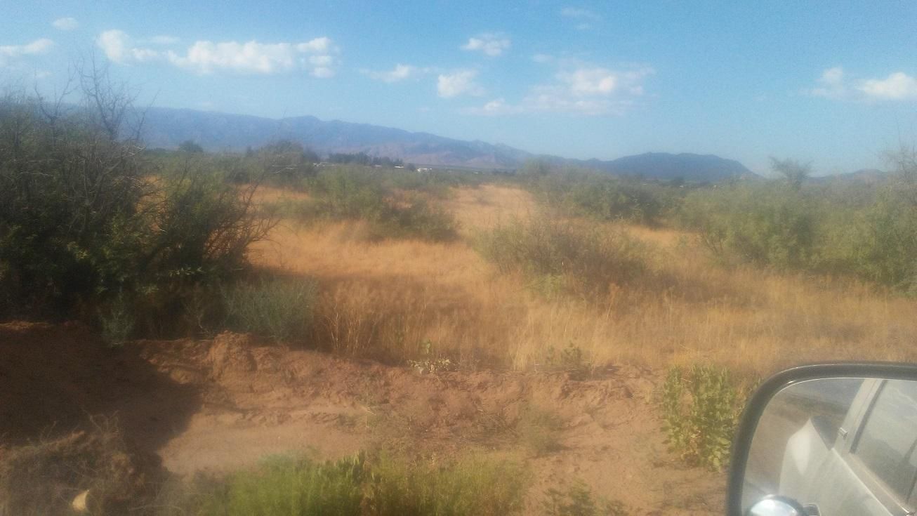 Willcox, Cochise County, AZ Farms and Ranches, Horse Property for sale