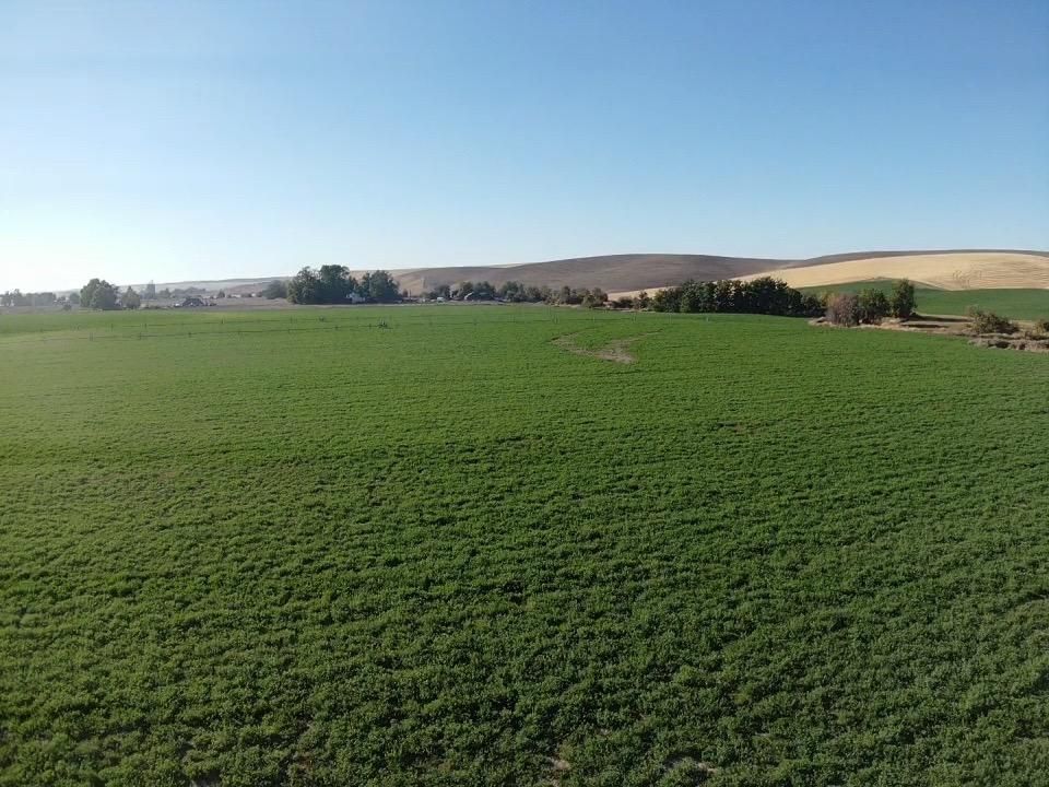 2615 Valley Grove Road, Walla Walla, WA 99362 LandWatch