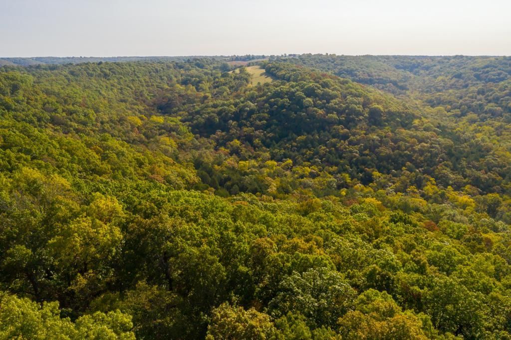 Cape Fair, Stone County, MO Recreational Property, Commercial Property