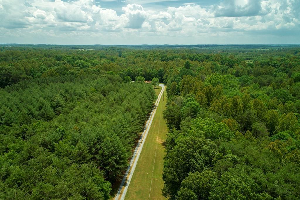 Dry Fork, Pittsylvania County, VA Farms and Ranches, Timberland
