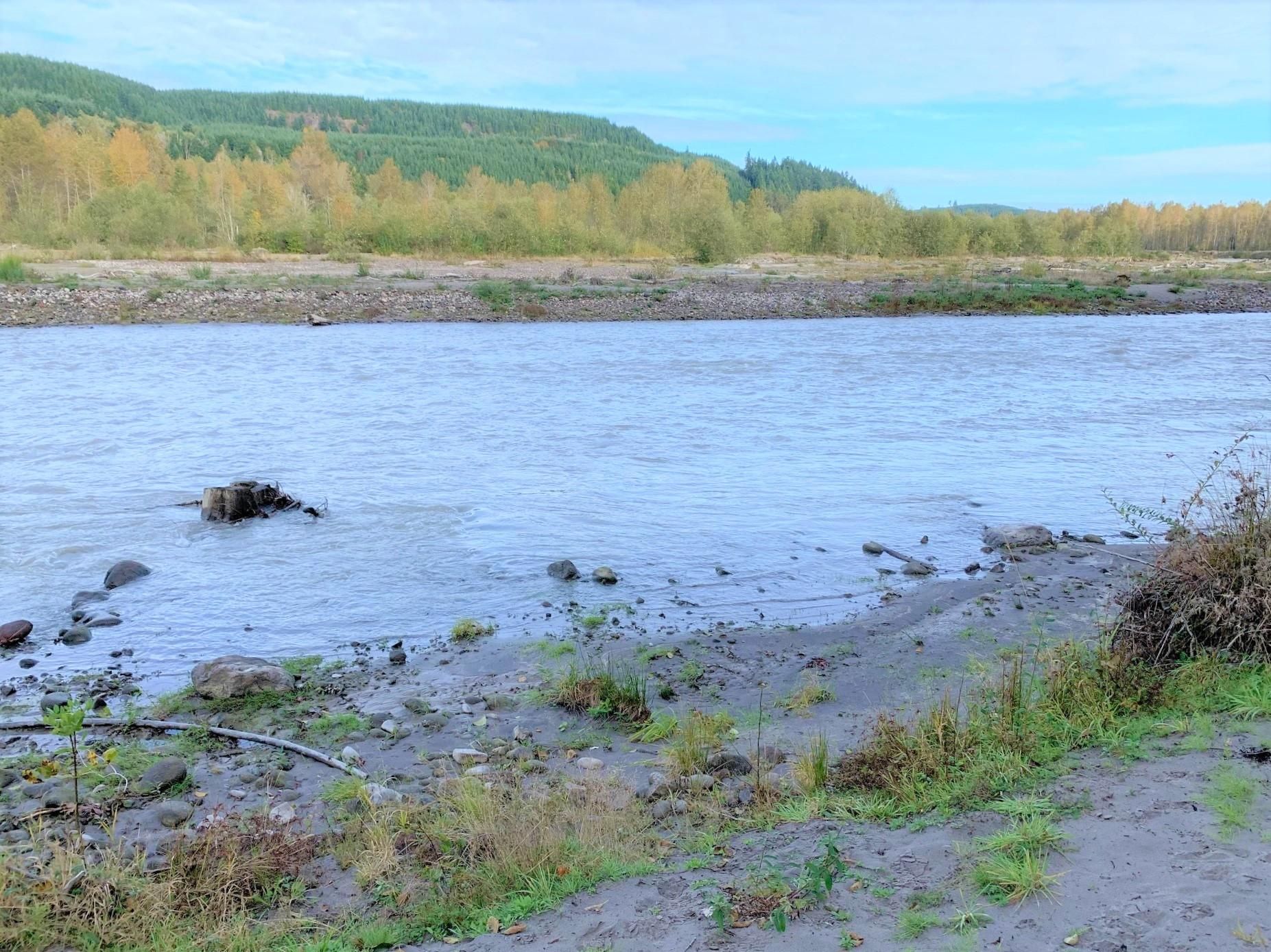 Toutle, Cowlitz County, WA Recreational Property, Undeveloped Land for