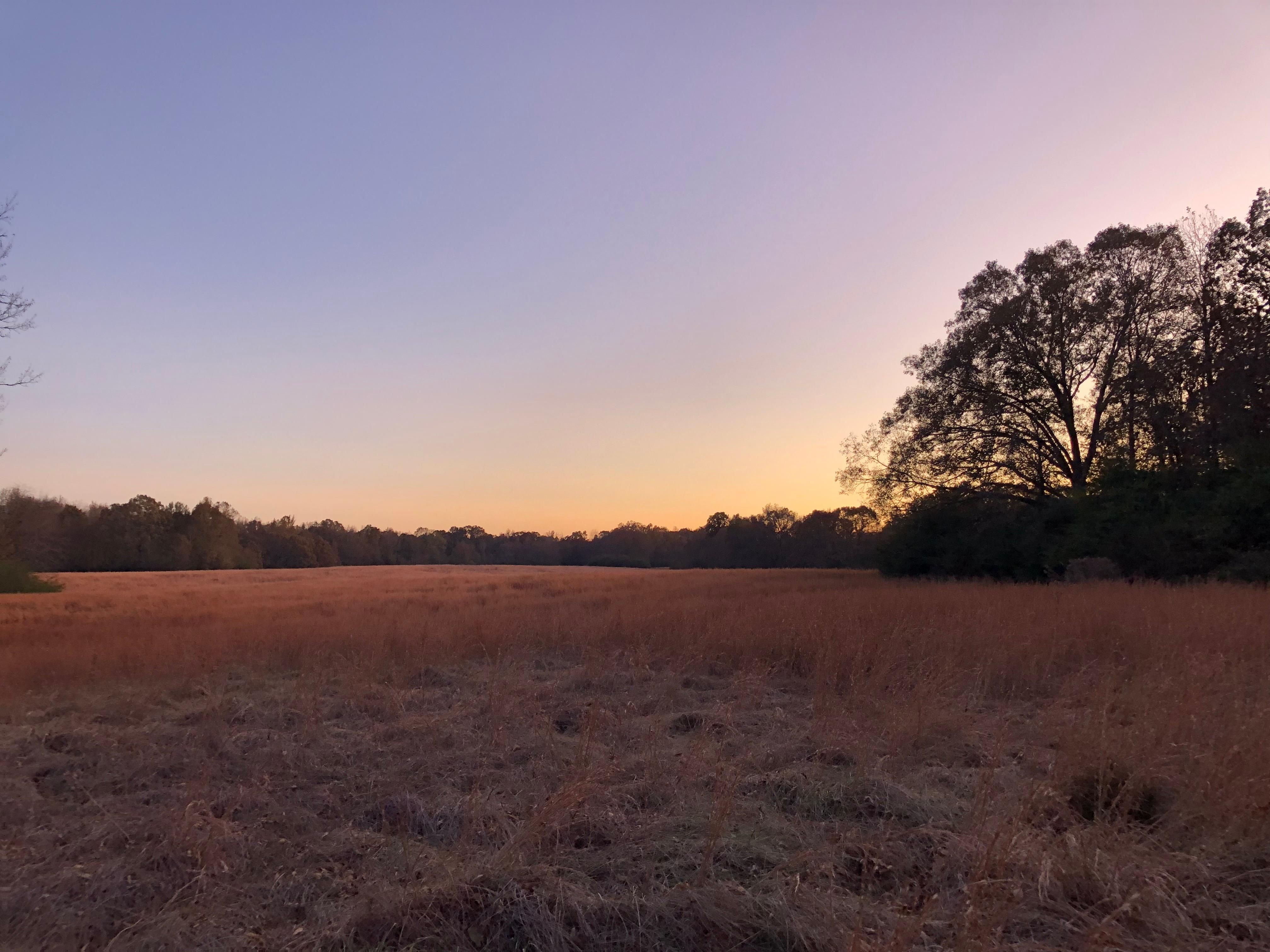 Fisherville, Fayette County, TN Farms and Ranches, Recreational