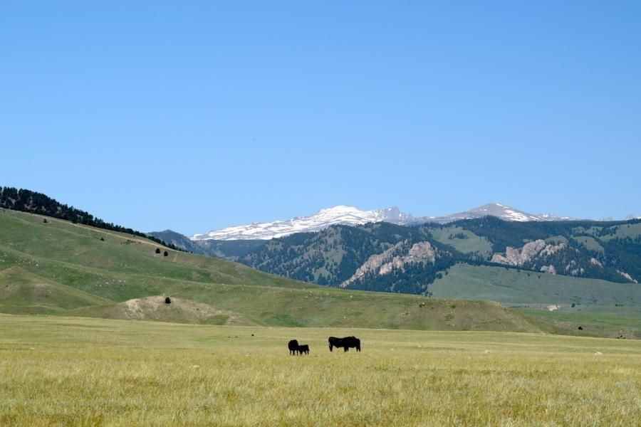Buffalo, Johnson County, WY Farms and Ranches, Hunting Property, Horse