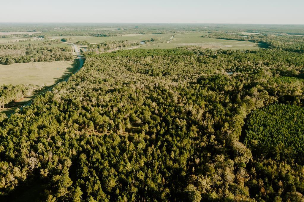 Mount Vernon, Montgomery County, GA Undeveloped Land for sale Property