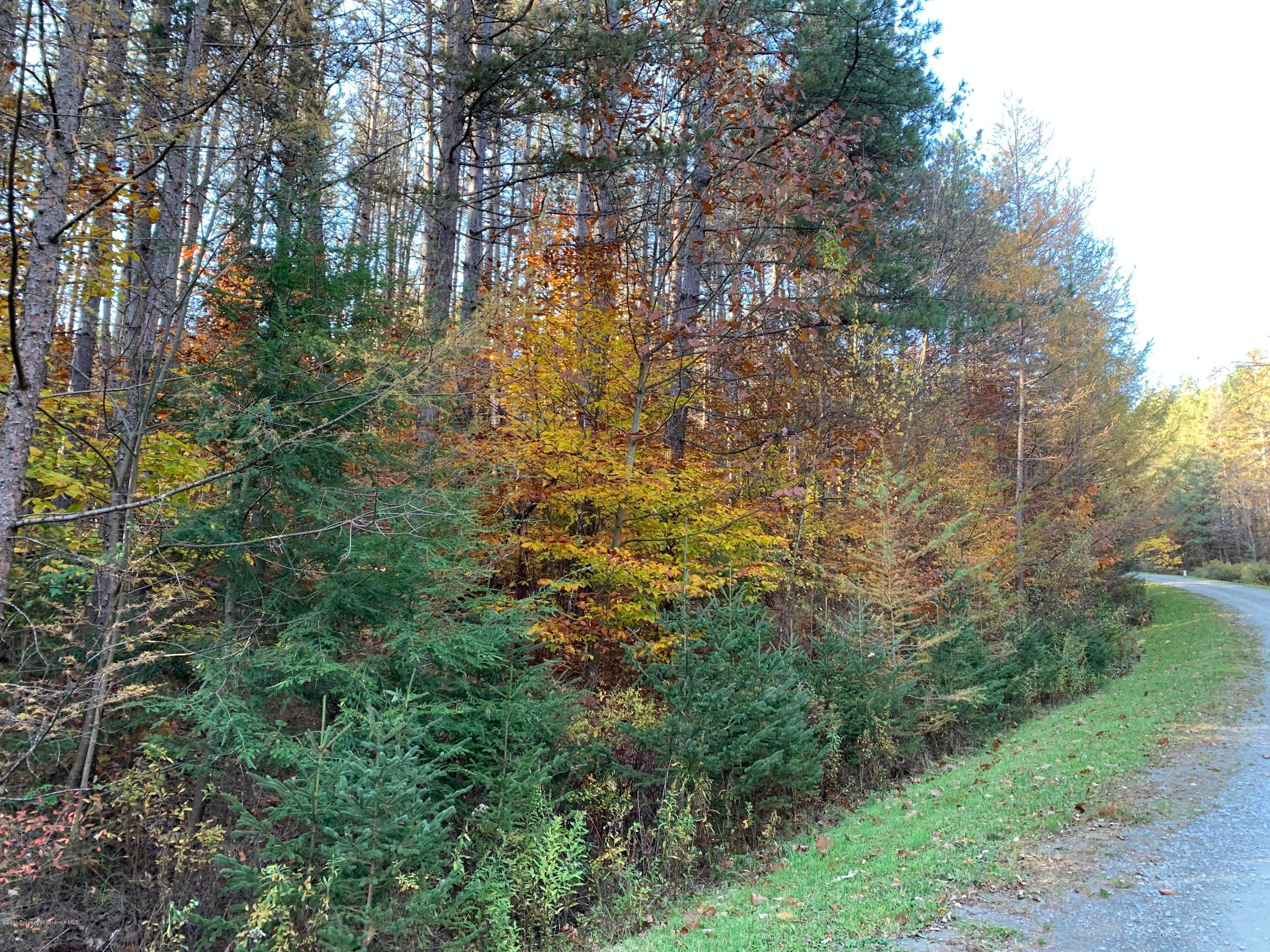 Union Dale, Susquehanna County, PA Undeveloped Land for sale Property