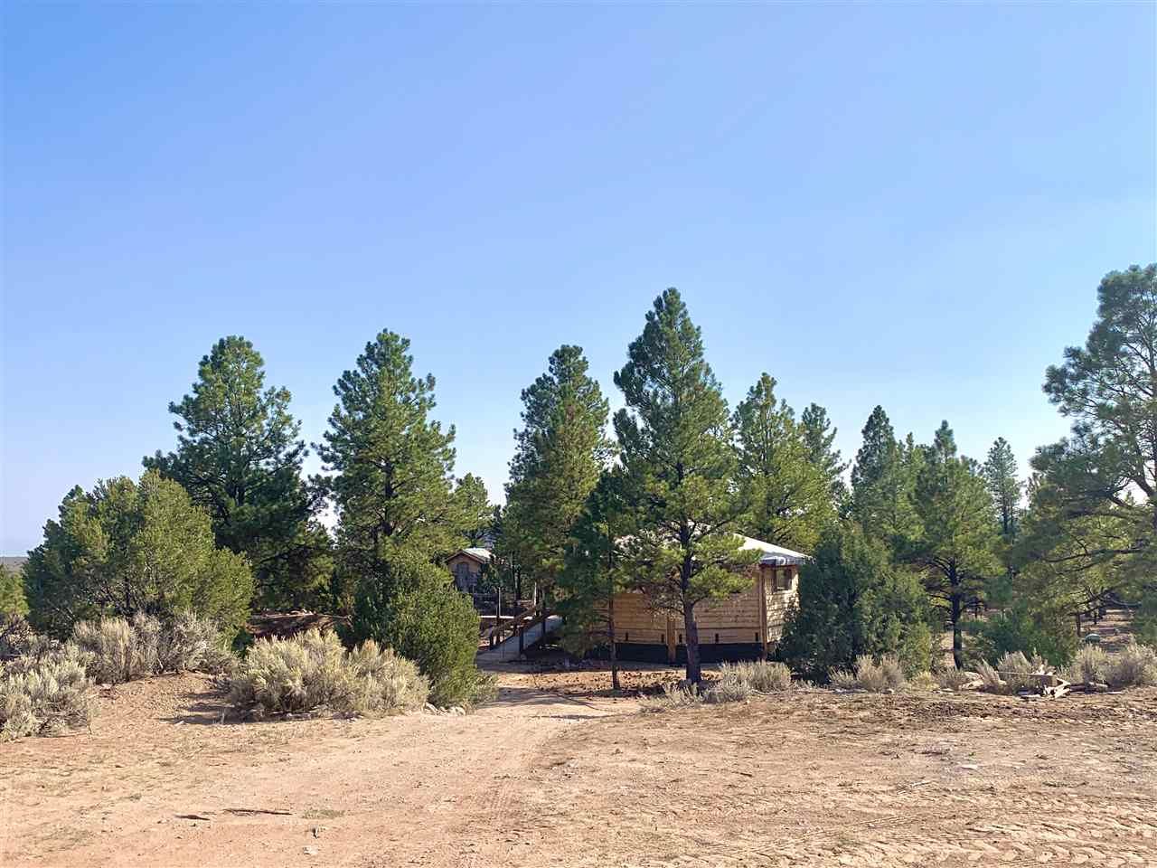 Tres Piedras, Taos County, NM Undeveloped Land for sale Property ID