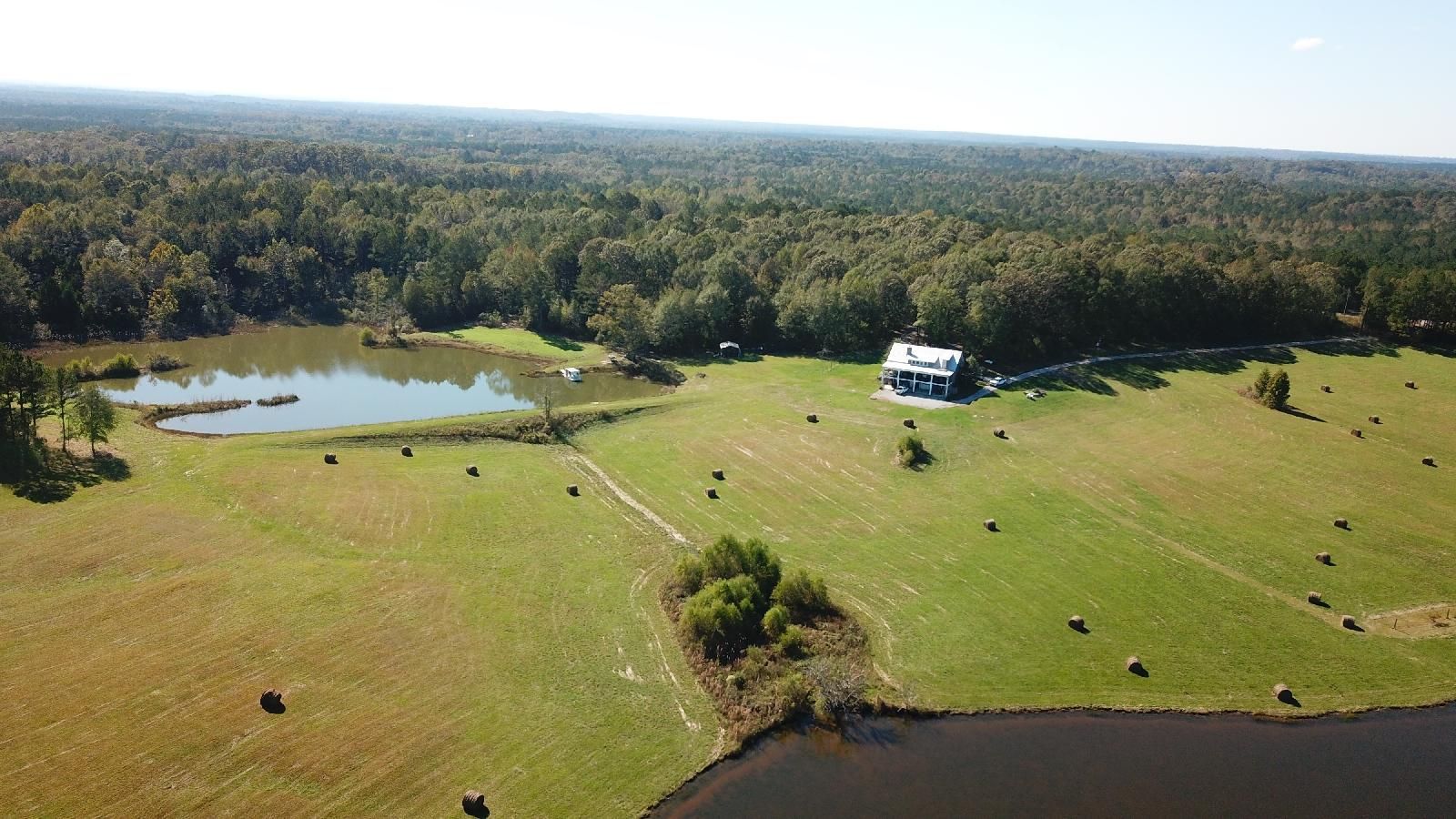 Gallion, Marengo County, AL Farms and Ranches, Timberland Property