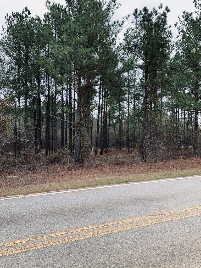Dearing, McDuffie County, GA Undeveloped Land for sale Property ID