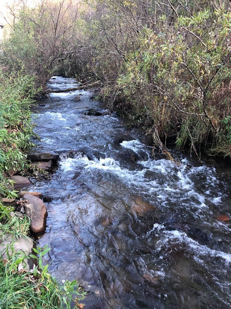 Nantahala, Macon County, NC Undeveloped Land for sale Property ID