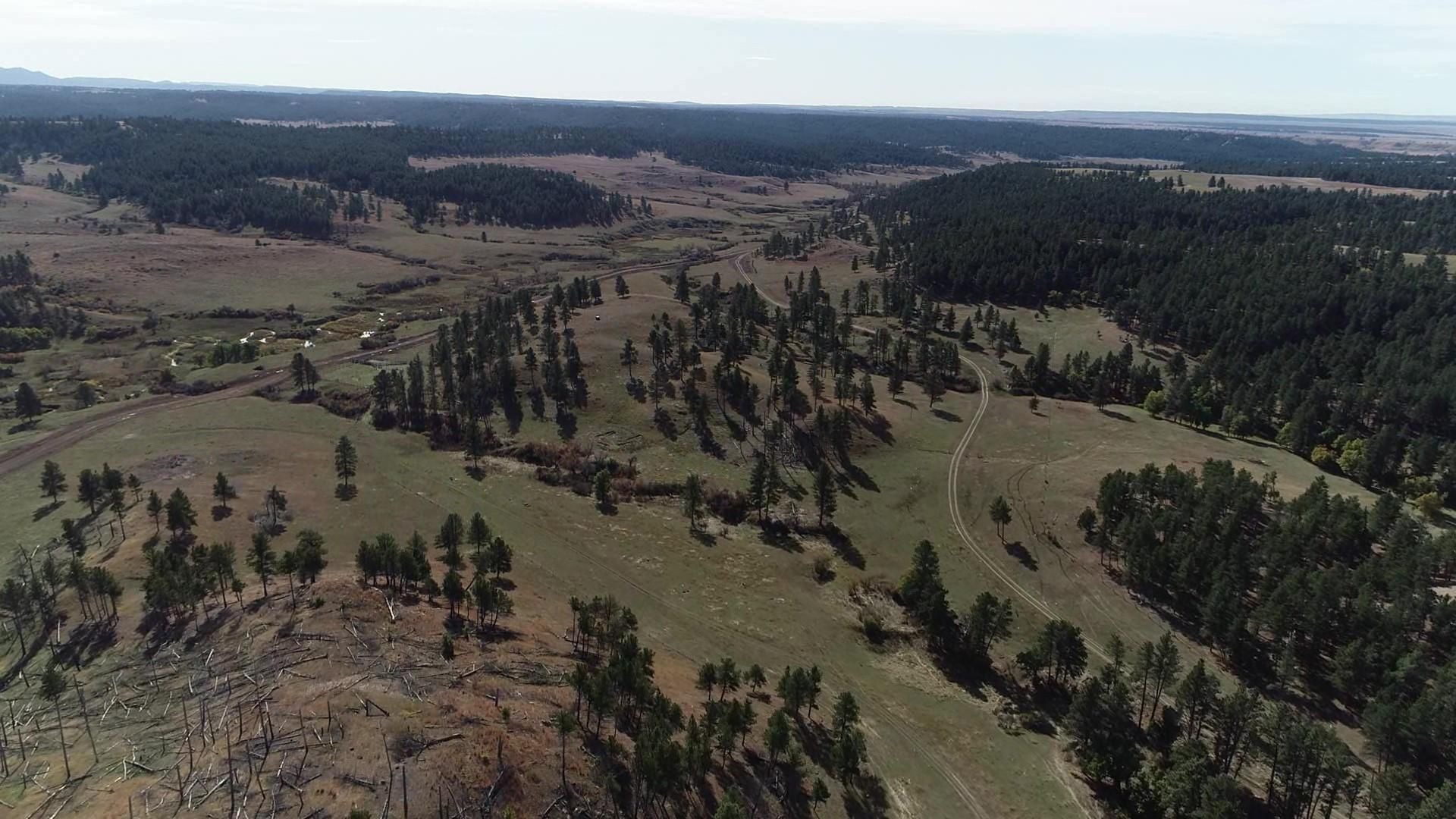 79 acres in Sundance, WY, 82729 MLS 201663 LandWatch