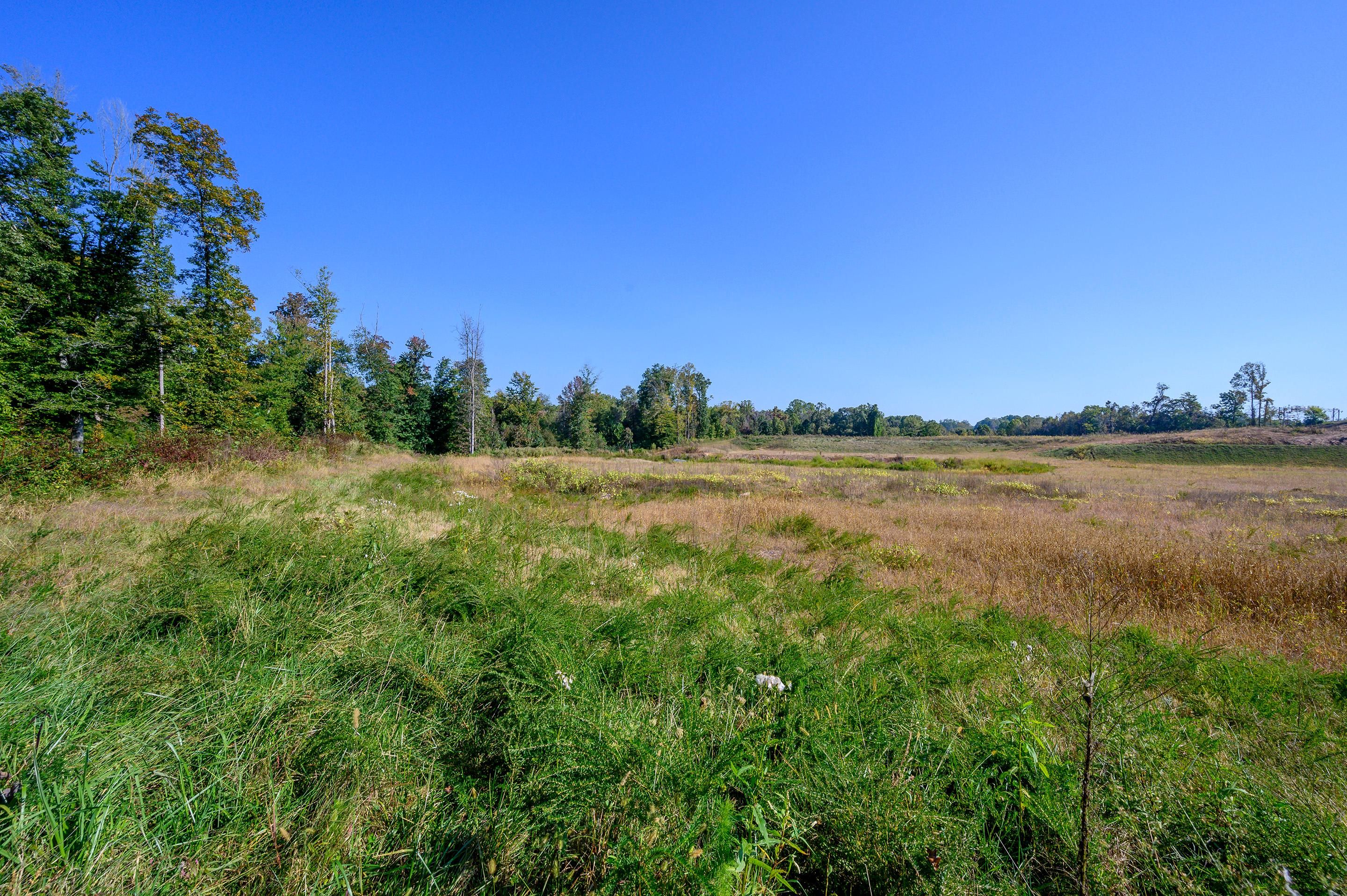 Kernersville, Forsyth County, NC Recreational Property, Undeveloped Land for sale Property ID