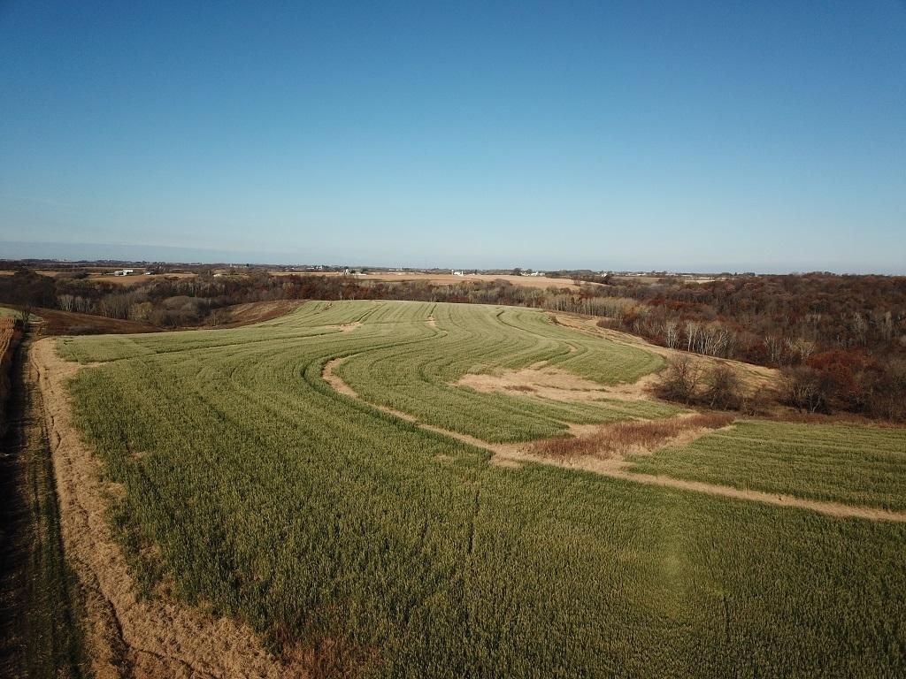 Dakota, Winona County, MN Farms and Ranches, Recreational Property