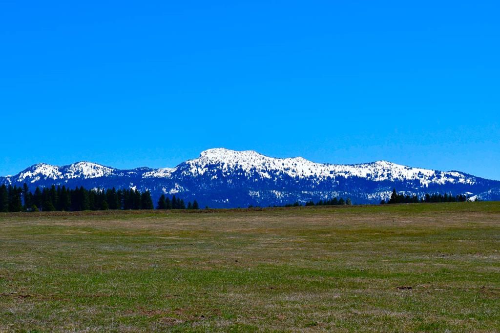 Mccall Valley County ID Undeveloped Land For Sale Property ID 