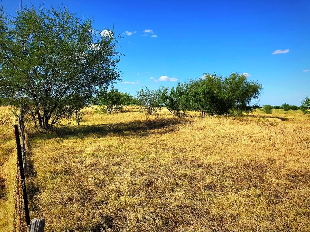 Knippa, Uvalde County, TX Undeveloped Land for sale Property ID