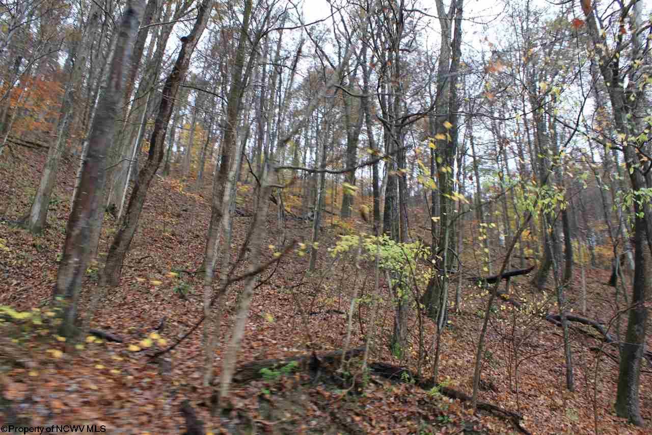 Erbacon, ster County, WV Undeveloped Land for sale Property ID 408729096 LandWatch