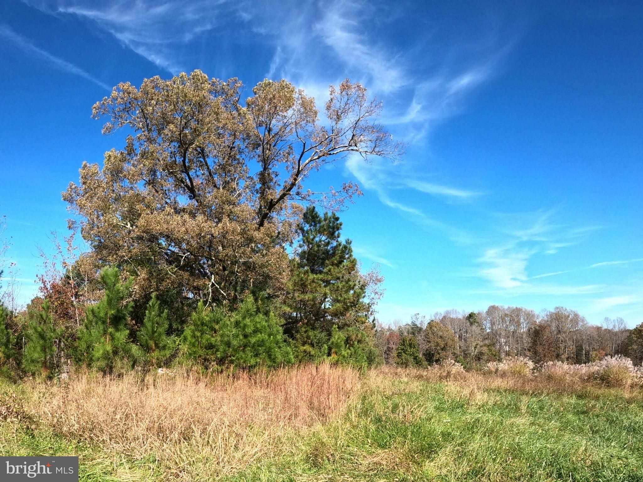 Montpelier, Hanover County, VA Undeveloped Land, Hunting Property for