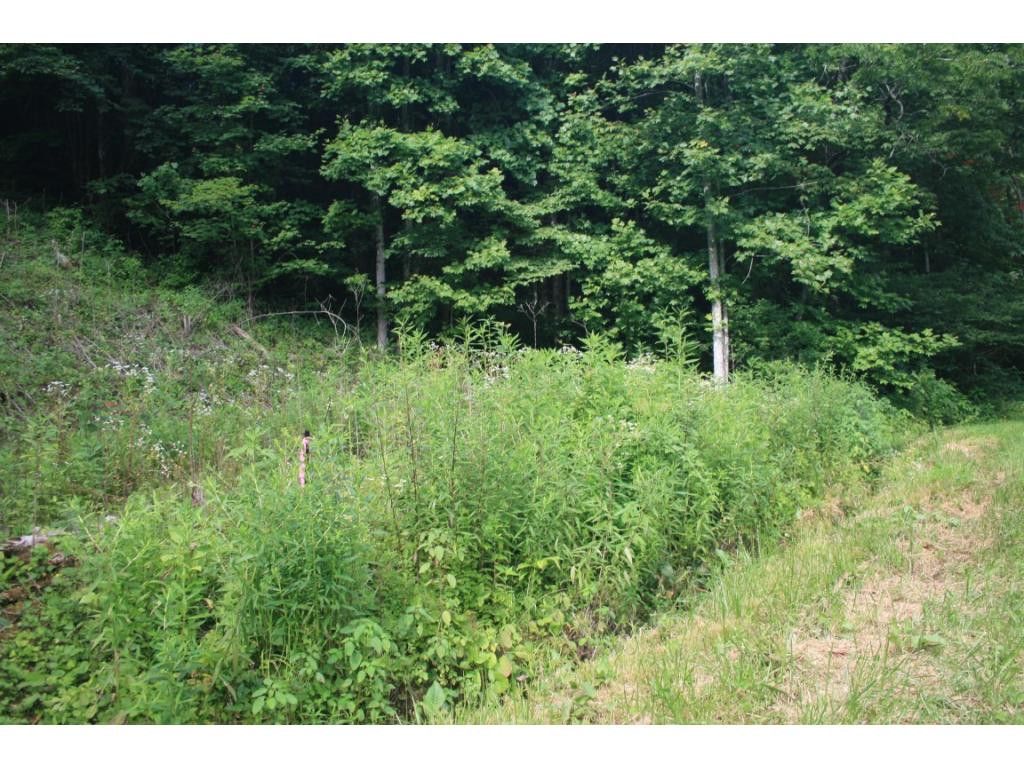 Flag Pond, Unicoi County, TN Undeveloped Land for sale Property ID