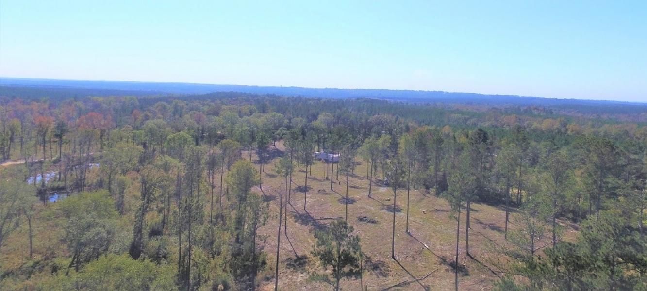 Gray, Jones County, GA Recreational Property, Undeveloped Land, Hunting