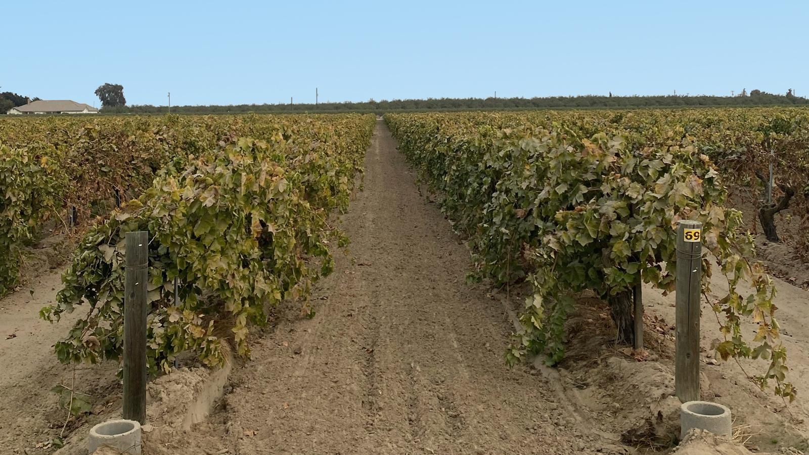 Fresno, Fresno County, CA Farms and Ranches for sale Property ID 408740945 LandWatch