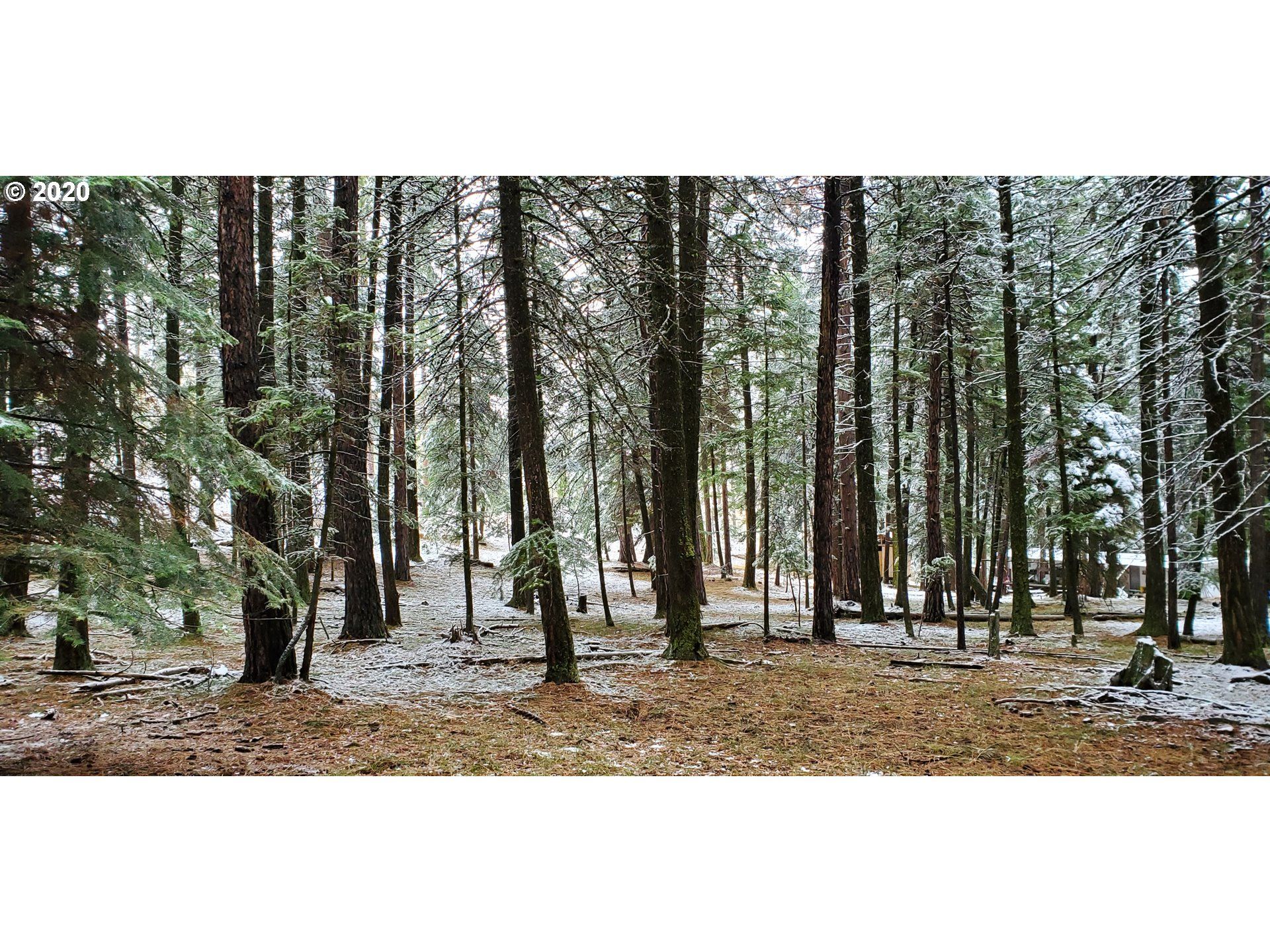 Heppner, Morrow County, OR Undeveloped Land, Homesites for sale