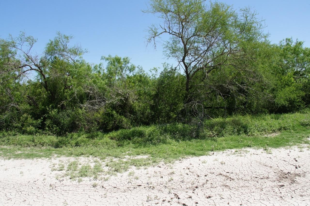 San Diego, Duval County, TX Farms and Ranches, Recreational Property, Undeveloped Land for sale