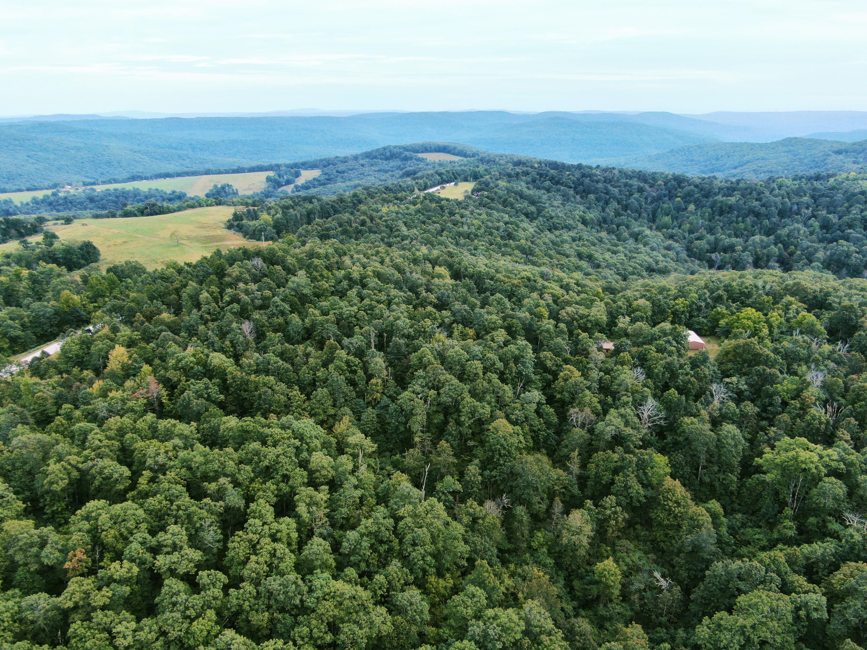 Oark, Newton County, AR Undeveloped Land for sale Property ID