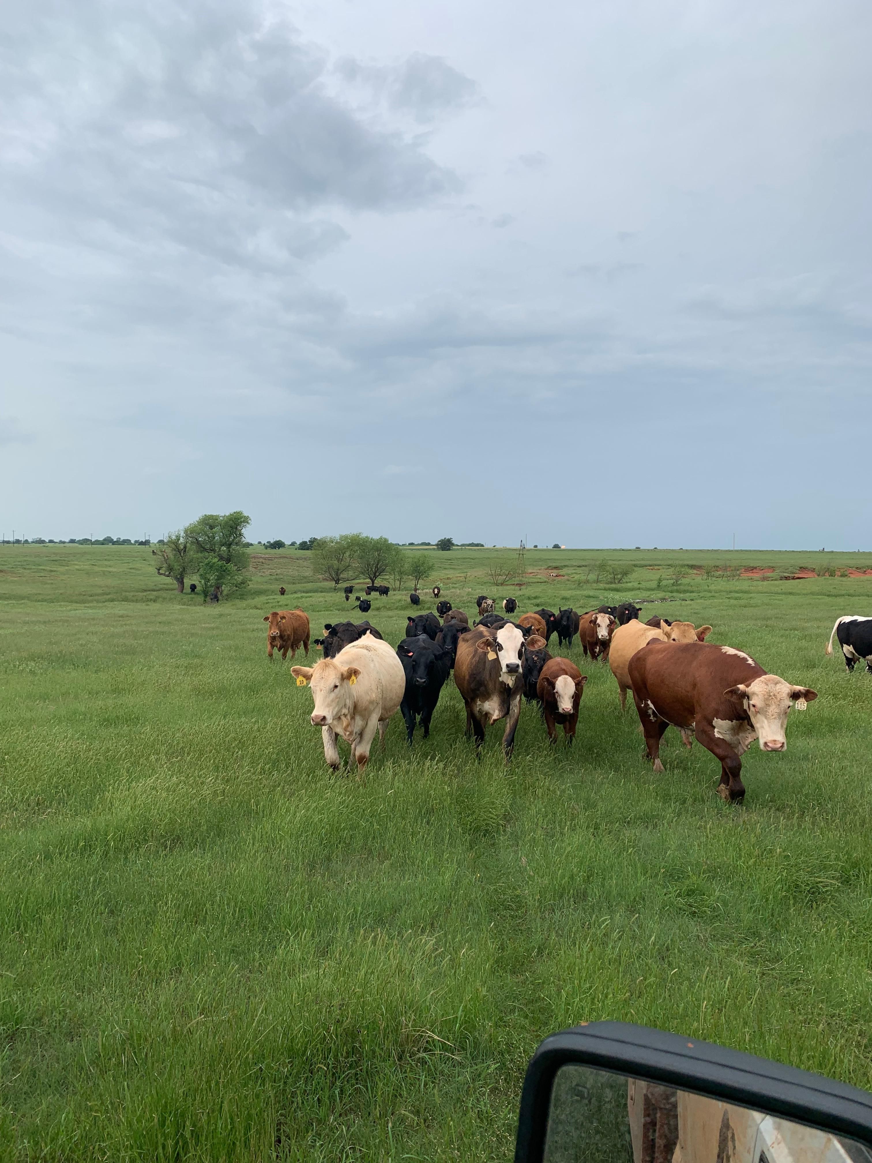 Wewoka, Seminole County, OK Farms and Ranches, Recreational Property