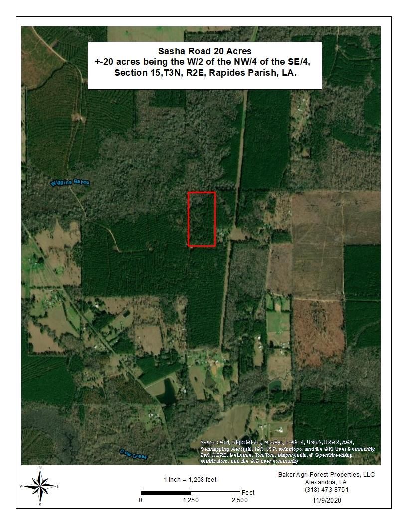 Ruby, Rapides Parish, LA Recreational Property, Undeveloped Land
