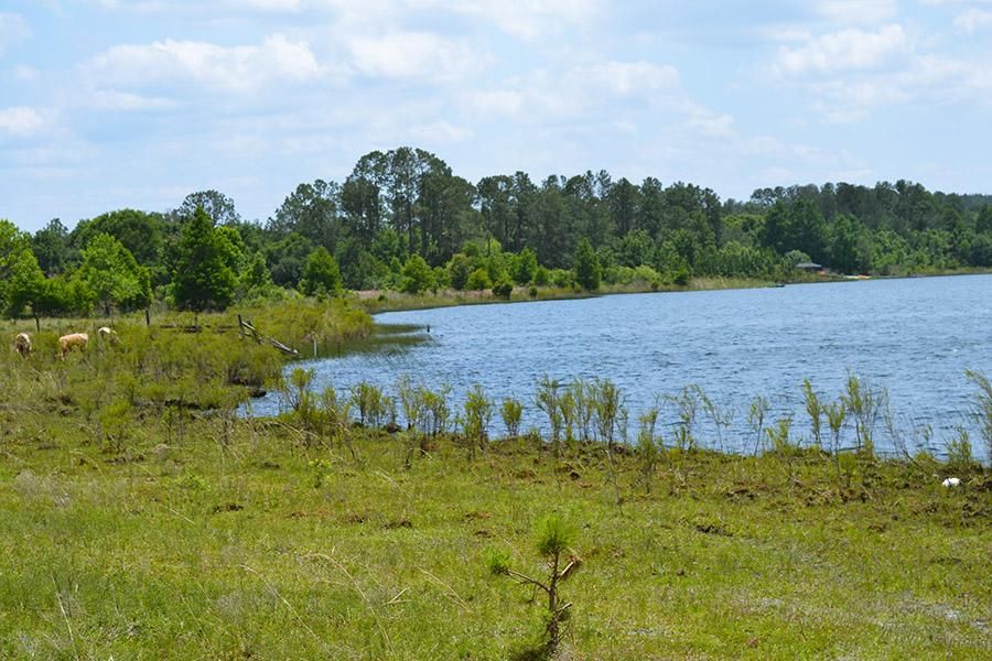 38318 Simmons Lane, Umatilla, FL 32784 LandWatch