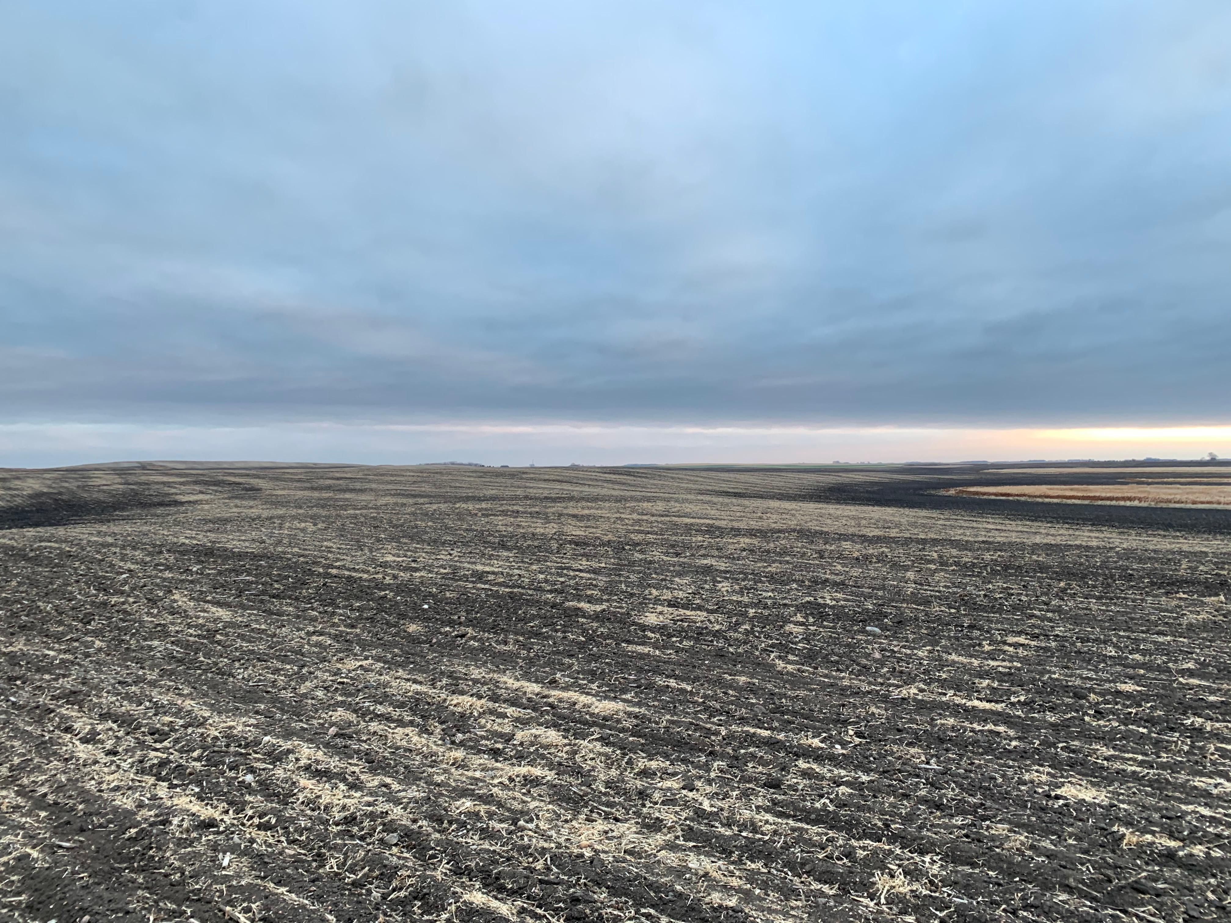 Adams, Walsh County, ND Farms and Ranches for auction Property ID