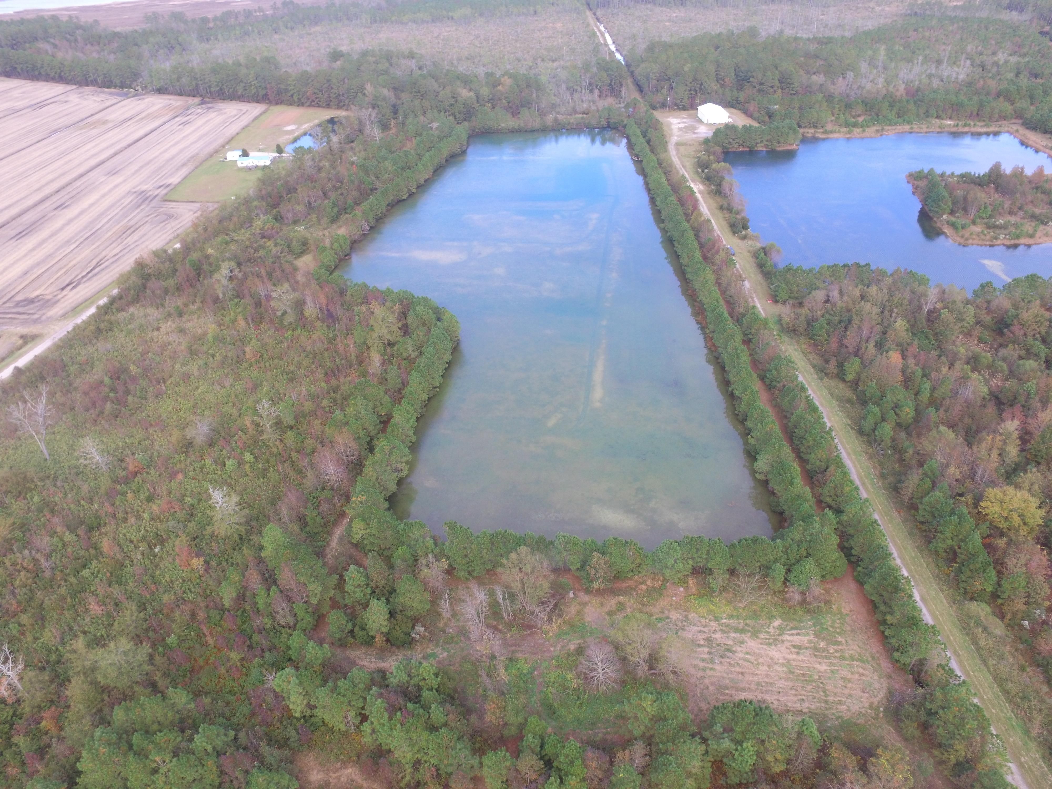 Beaufort County, NC Recreational Property, Timberland