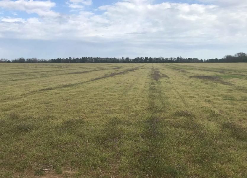 Warner Robins, Houston County, GA Farms and Ranches, Commercial