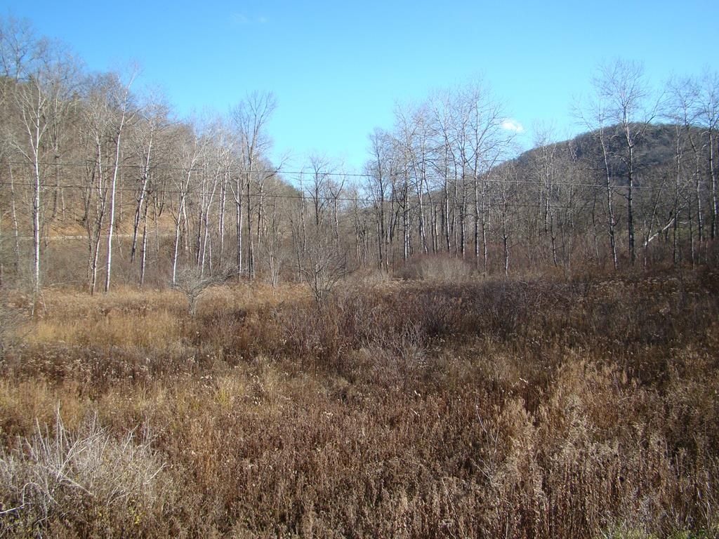 Coudersport, Potter County, PA Undeveloped Land, Homesites for sale