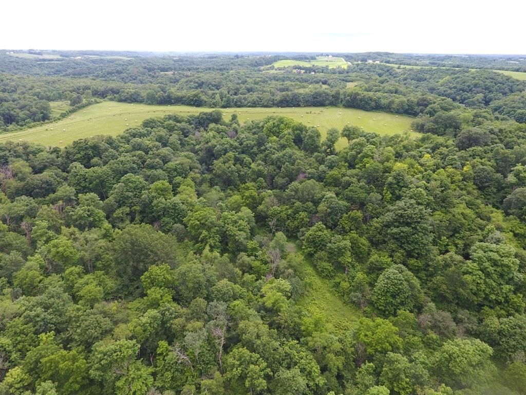 Richland Center, Richland County, WI Recreational Property, Hunting