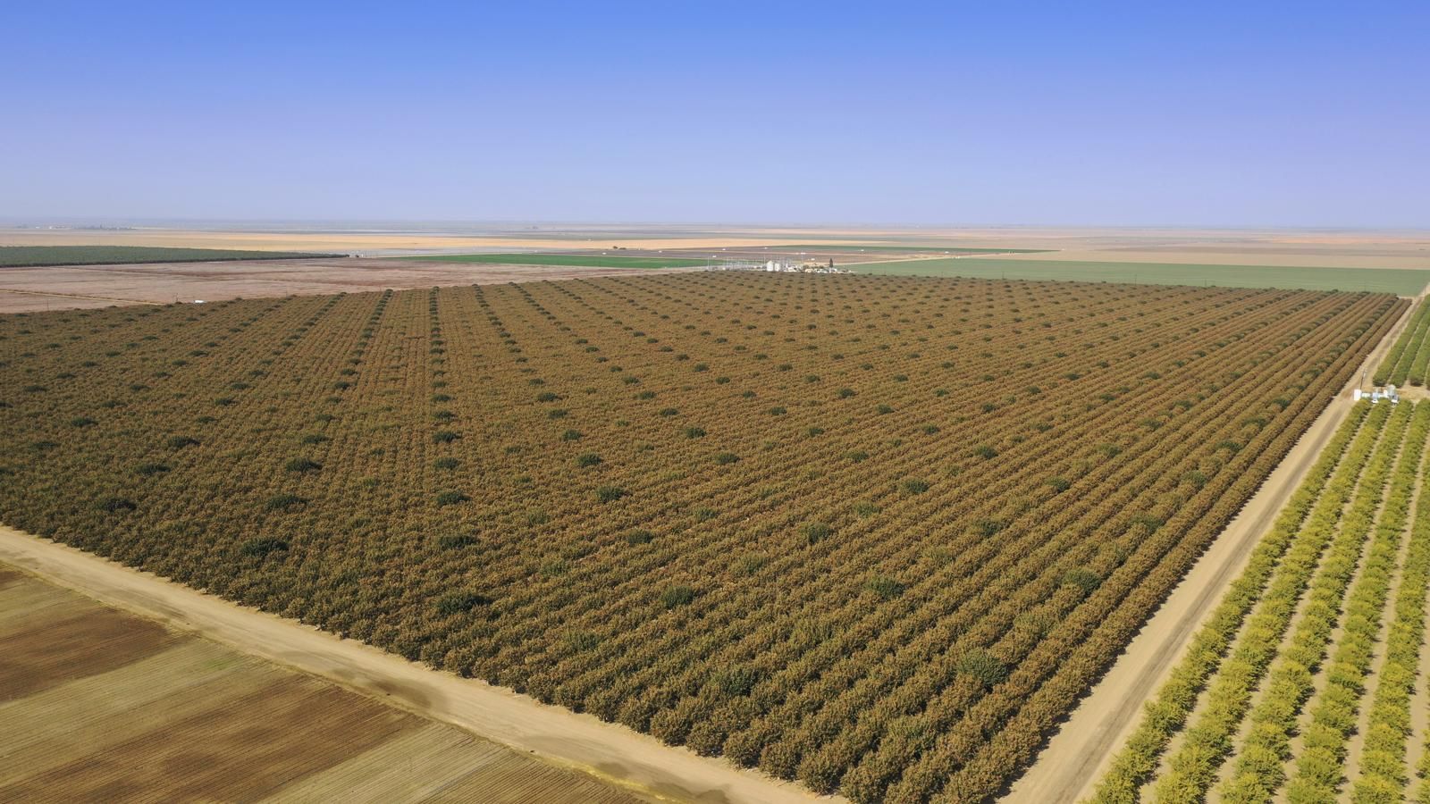 Cantua Creek, Fresno County, CA Farms and Ranches for sale Property ID