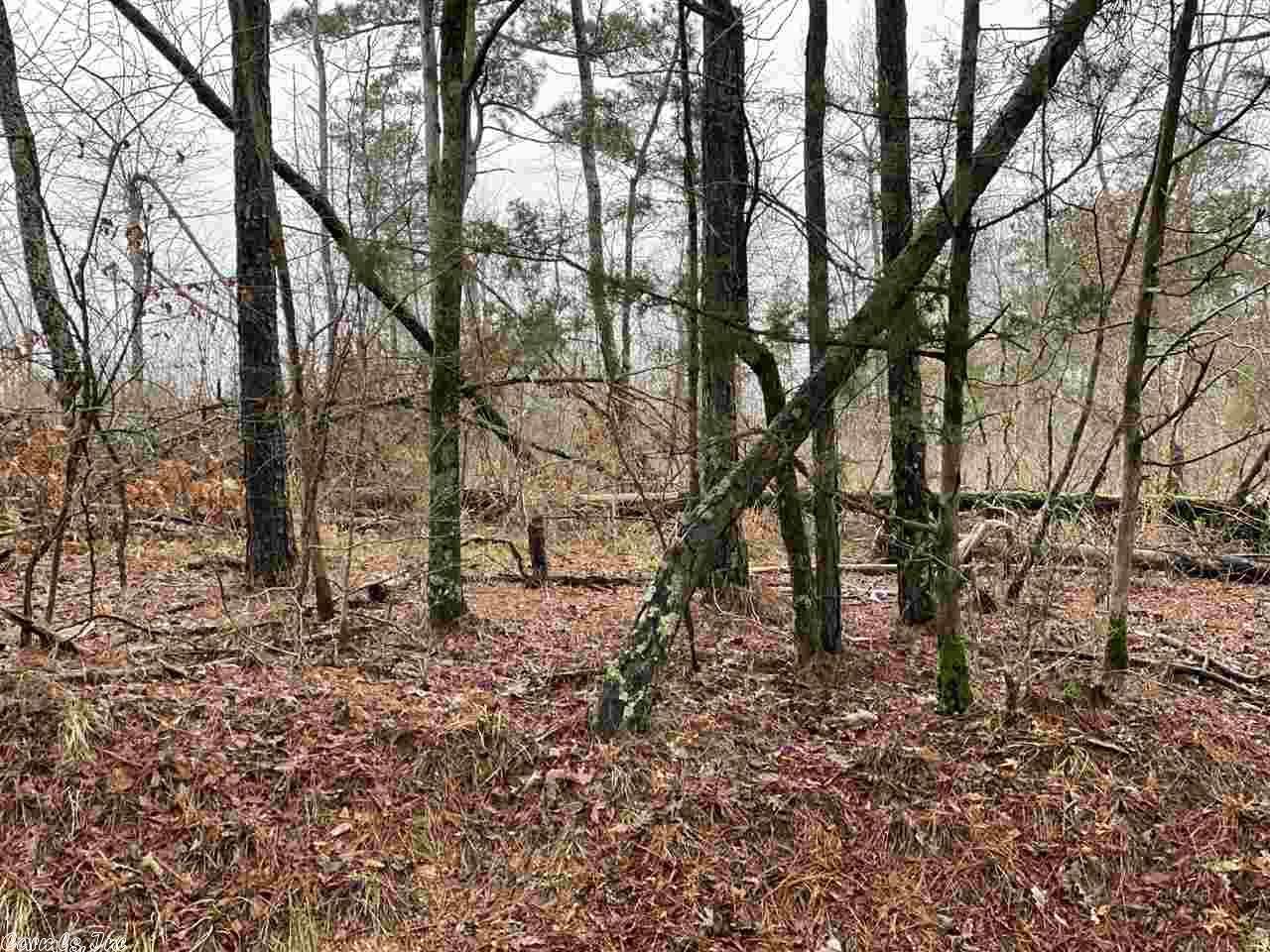 Caddo Gap, Montgomery County, AR Undeveloped Land, Homesites for sale