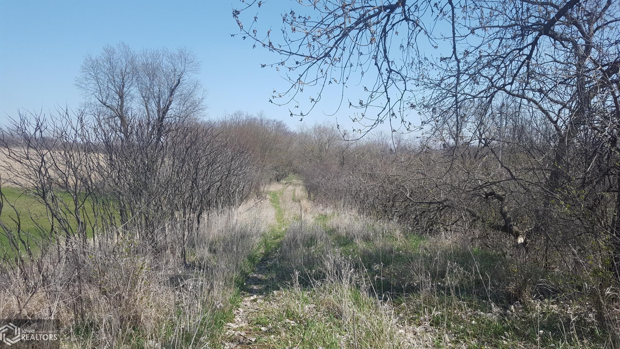 Eldora, Hardin County, IA Undeveloped Land for sale Property ID