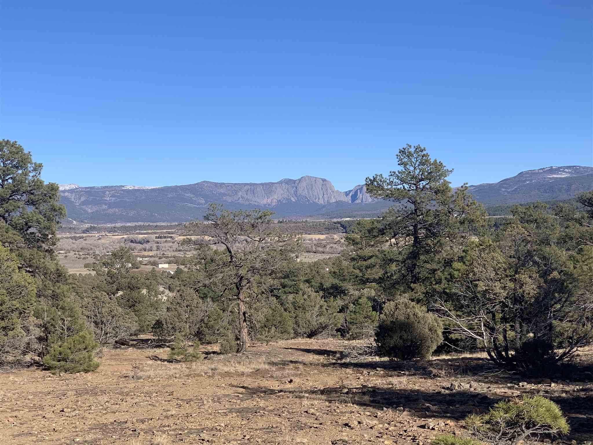 Los Ojos, Rio Arriba County, NM Undeveloped Land for sale Property ID