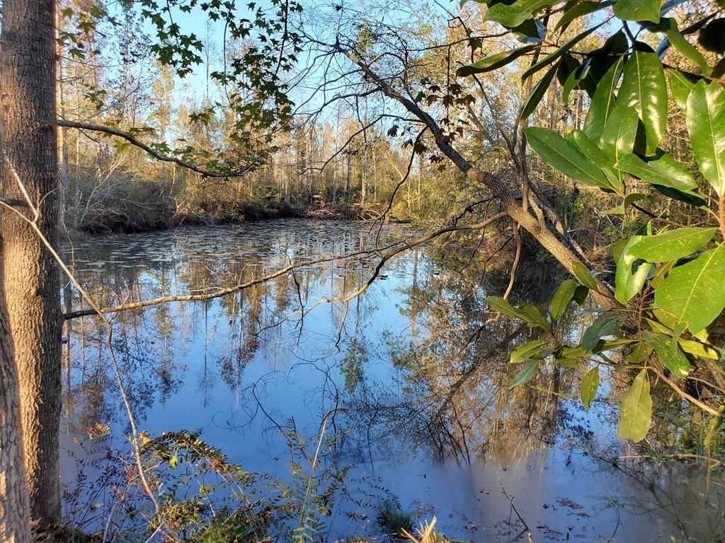 Donalsonville, Seminole County, GA Lakefront Property, Waterfront