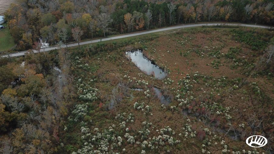 Lucama, Wilson County, NC Recreational Property, Timberland Property, Hunting Property for sale